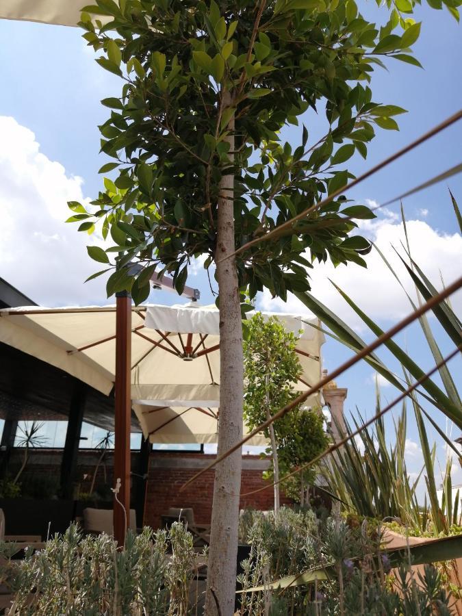 Hotel Boutique Rayon 50 Морелия Екстериор снимка